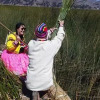 Отель Titicaca Homestay Lodge, фото 14