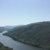 Отель Refúgio D'Anita Douro valley house, фото 20