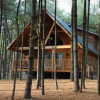 Отель Cabins at Pine Haven, фото 4