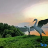 Отель Zaishui Yifang Holiday Hotel, фото 20