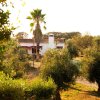 Отель Monte Da Coelha - Alojamento Local, фото 10