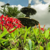 Отель Country Club Suerre, фото 46