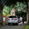 Отель Ayung Resort Ubud, фото 34