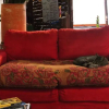 Отель Hostal Casa del Loro - Hostel, фото 8