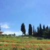Отель Holiday home Strada dei Vetti Cipressi, фото 18
