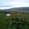 Отель Iceland Yurt, фото 14