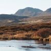 Отель Liatoppen Fjellstue, фото 36