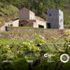 Отель Melgaço Alvarinho Houses, фото 7