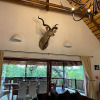 Отель Blyde Wildlife Estate 22, фото 20