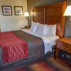 Отель Comfort Inn Fairfield (Essex County) Area, фото 5