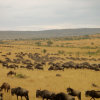 Отель AA Lodge Masai Mara, фото 20