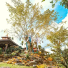 Отель Baan Ton Kao Pool Villas Krabi, фото 1