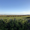 Отель Stonefield Bed and Breakfast, фото 17