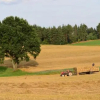 Отель Wyspa Świerków, фото 1