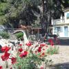 Отель Beachfront self-catering studios in Psatha Bay - 60km from Athens, фото 12