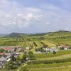 Отель Weingut & Pension zum Seeblick Familie Sattler, фото 32