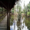 Отель Yanapuma Explorer - Lodge & Adventure, фото 6
