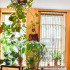 Отель Peaceful 2 Bedroom Hideaway in the Heart of Brighton, фото 1