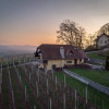 Отель Vineyard Cottage Hocevar, фото 1