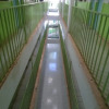 Отель Green Court Hotel, фото 10