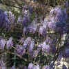 Отель Mas des Cigales, фото 12