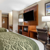 Отель Comfort Inn & Suites Diamondale – Lansing, фото 23