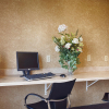 Отель Best Western Penn-Ohio Inn & Suites, фото 13