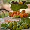 Отель Bed and Breakfast La Liccina, фото 5
