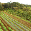Отель Maetakeso, фото 5