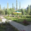 Отель TIH Hundar Resort - Nubra, фото 17