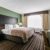 Отель Quality Inn & Suites, фото 5