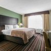 Отель Quality Inn & Suites, фото 3