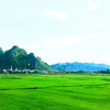 Отель Trung Duc Hotel, фото 16