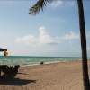 Отель Hollywood Beach Resort- Petite Studio, фото 15