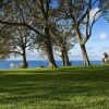 Отель Forrester Court Clifftop Cottages, фото 27