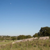 Отель Masseria Catucci Agriturismo, фото 9