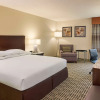 Отель DoubleTree by Hilton Houston Intercontinental Airport, фото 4