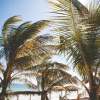 Отель Andreas Tulum Hotel, фото 17