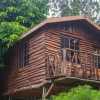 Отель The Blue Mahoe Treehouse, фото 22