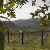 Отель Agriturismo Tenuta Serravalle, фото 5
