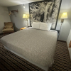 Отель Yankton Inn, фото 8