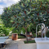 Отель Ankica - pool & garden - A1(9), фото 18