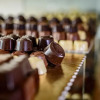 Отель Chocohotel Fikar, фото 9