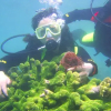Отель Fangji Island Eco Tourism International Resort Hotel, фото 10