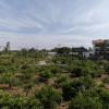 Отель Gamgulhyanggi Healing Park, фото 9