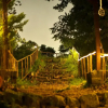 Отель Monkey Mud Hostel And Camps, фото 2