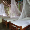 Отель Ecohotel Las Palmeras, фото 10