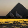Отель Pyramids top success result, фото 16