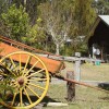 Отель Gold Rush Colony Cabins, фото 5