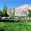 Отель Saser Camp Nubra, фото 13